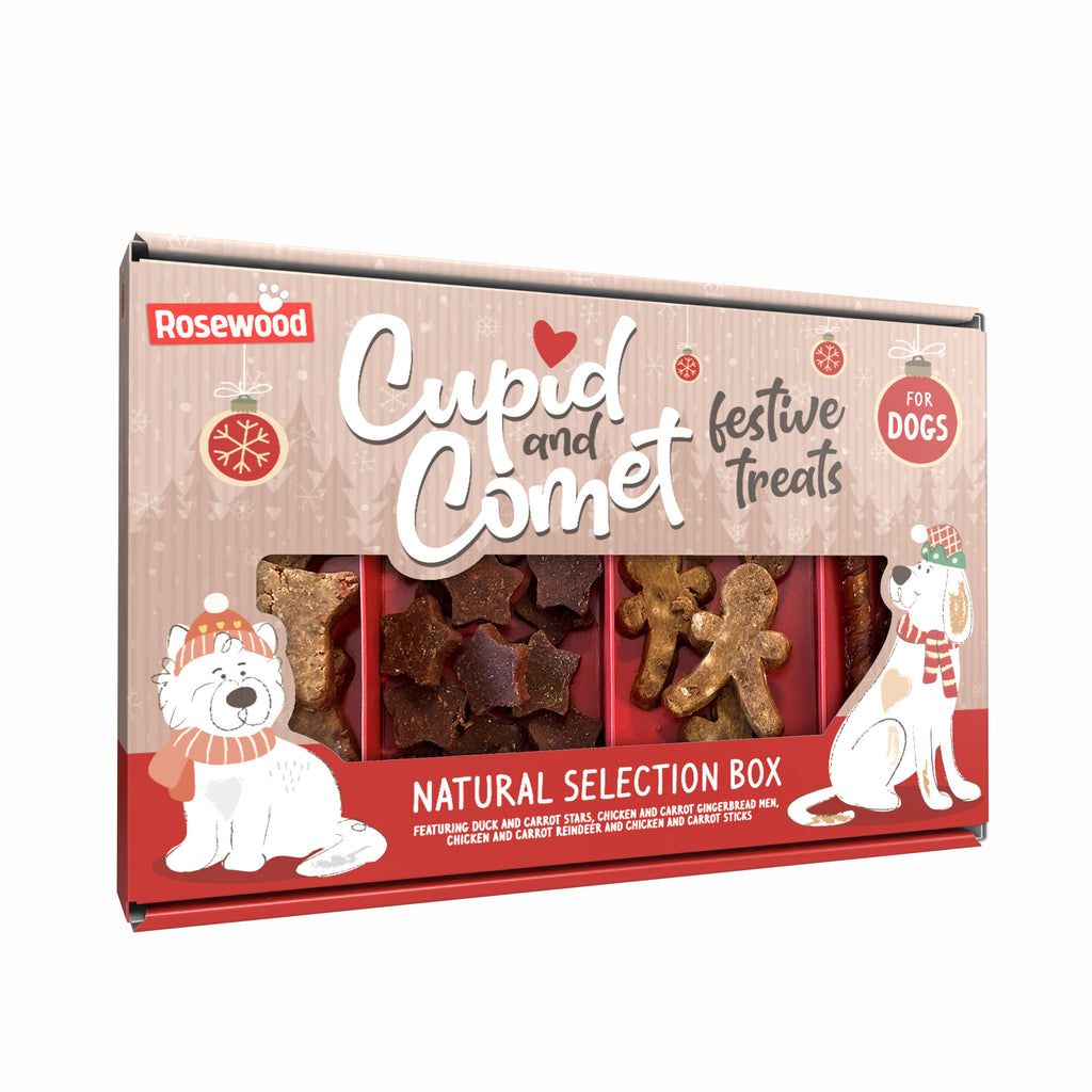 Natural Selection Box for Dogs