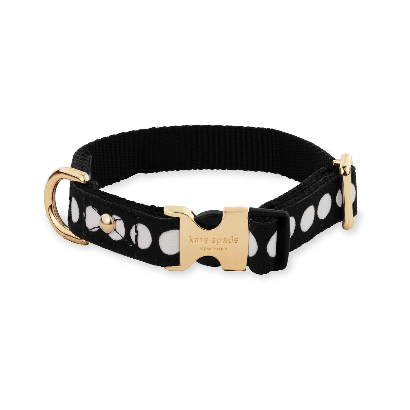Art dot, dog collar