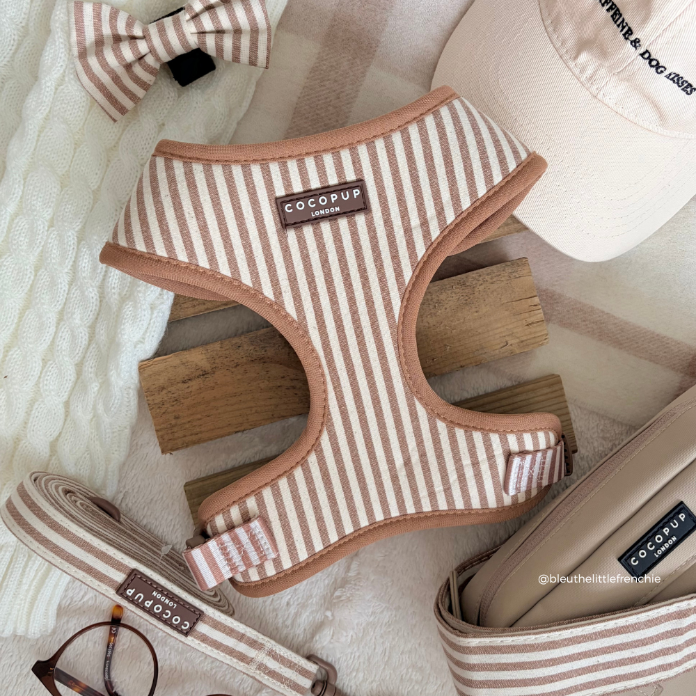 London Linen Stripes Adjustable Neck HARNESS