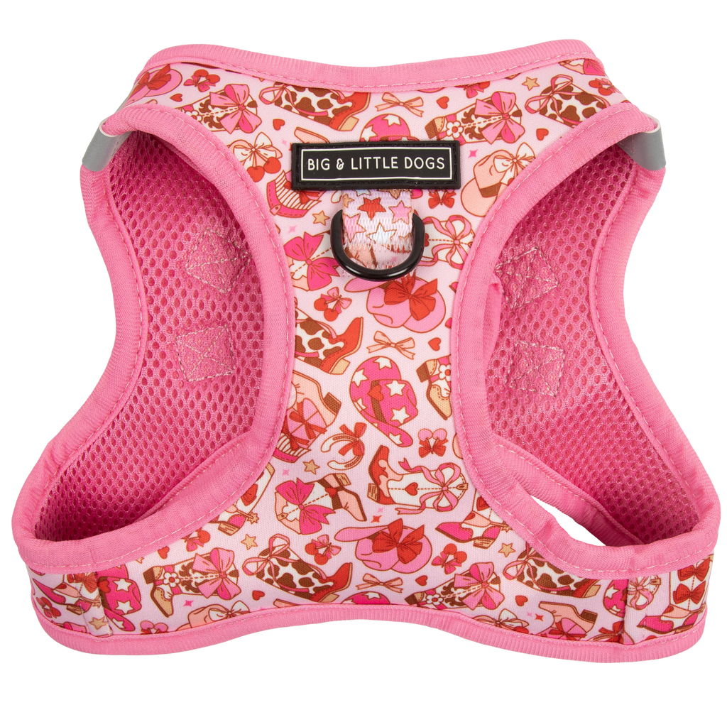 Rodeo Queen step-in dog harness
