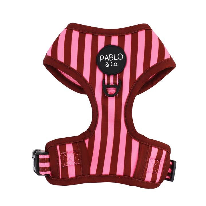 Blushing Stripes harness
