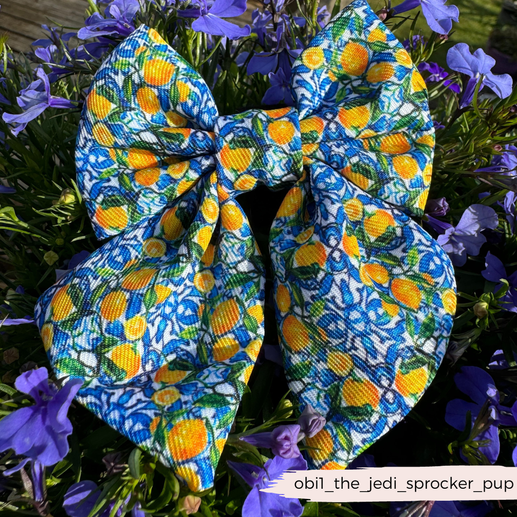 Amalfi Lemon Sailor Dog Bow Tie