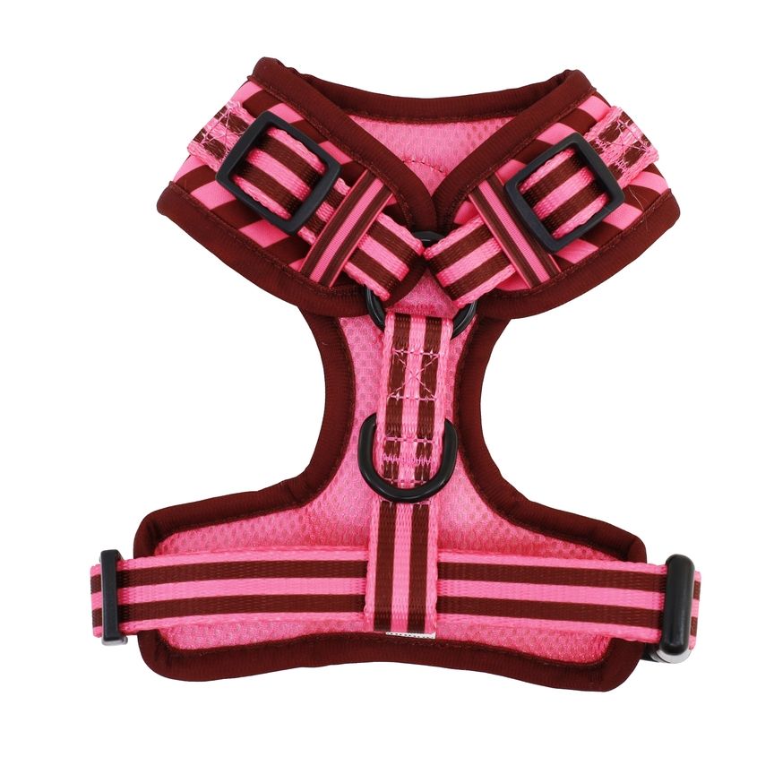 Blushing Stripes harness