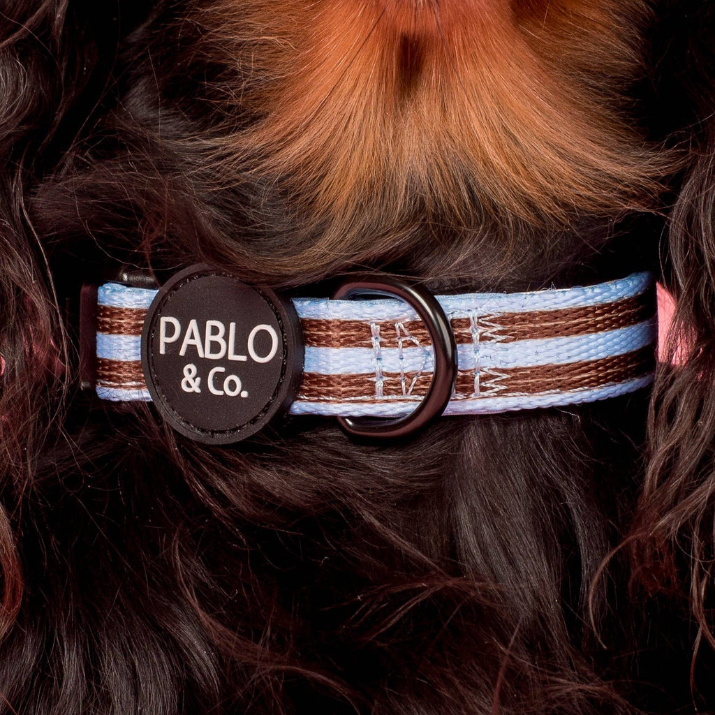 Sunday Stripes: Dog Collar