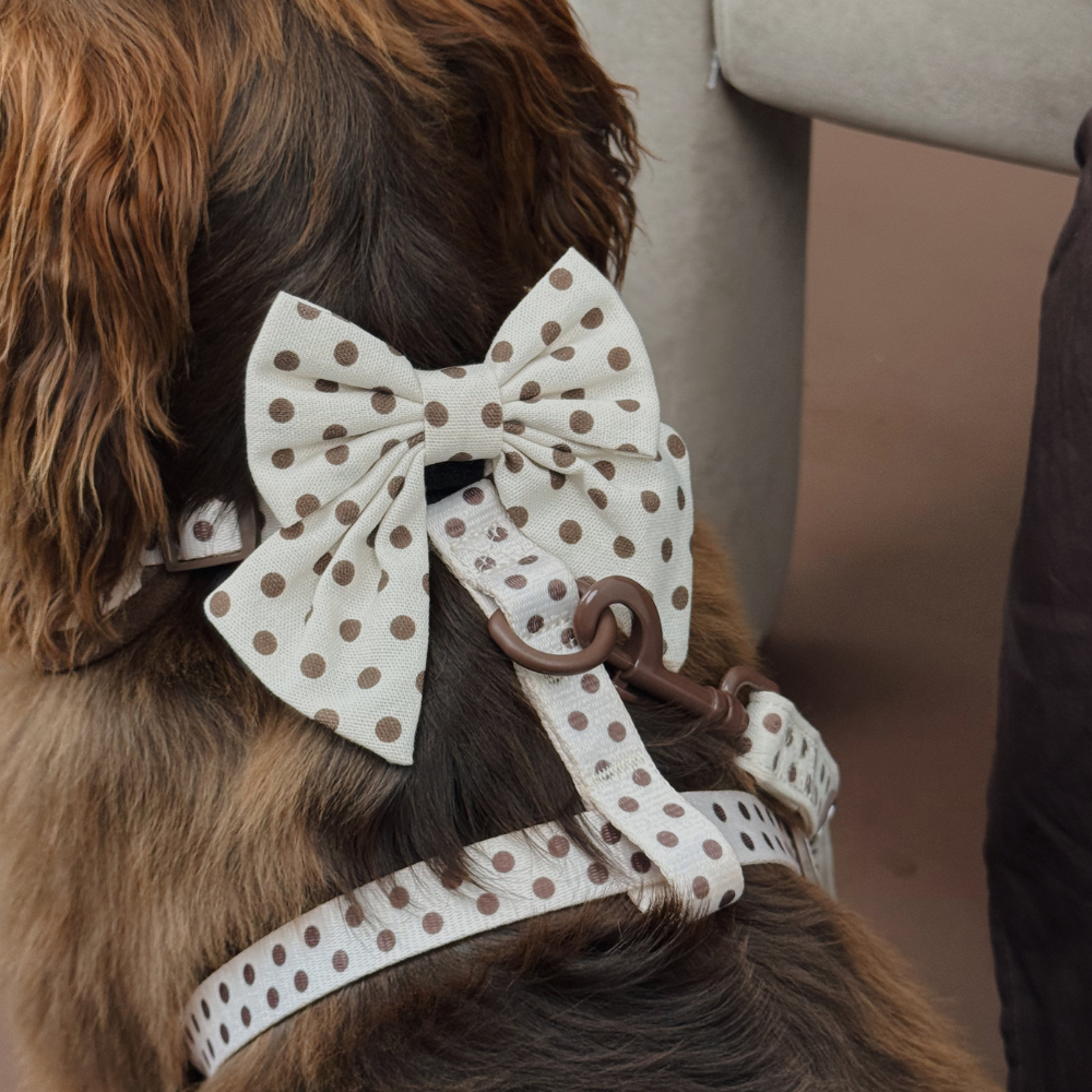Tiramisu Polka Dot Sailor Dog Bow Tie