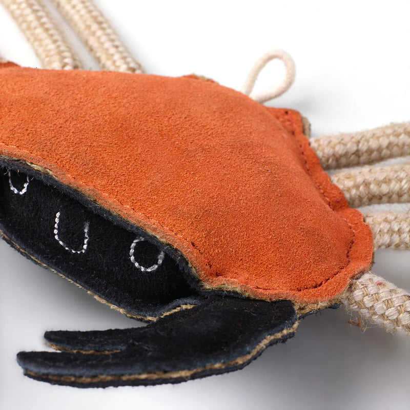 Carlos the crab