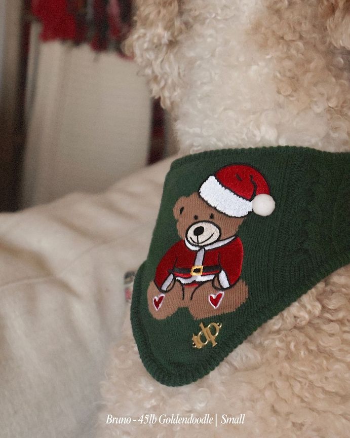 Holiday Teddy Bandana