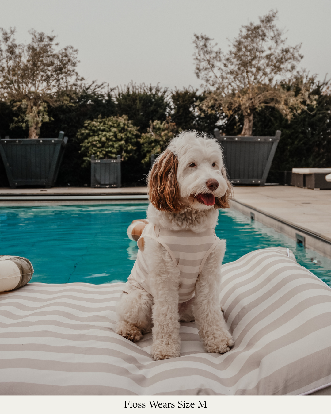 Hazelnut Stripe | Summer Breeze Cooling Vest