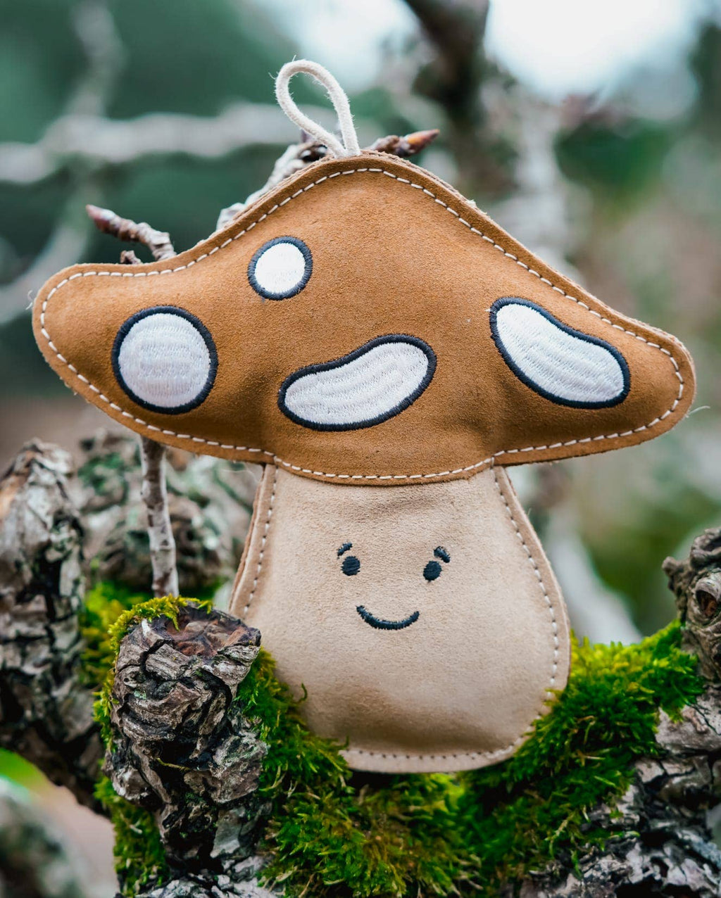 Chestnut the Mushroom