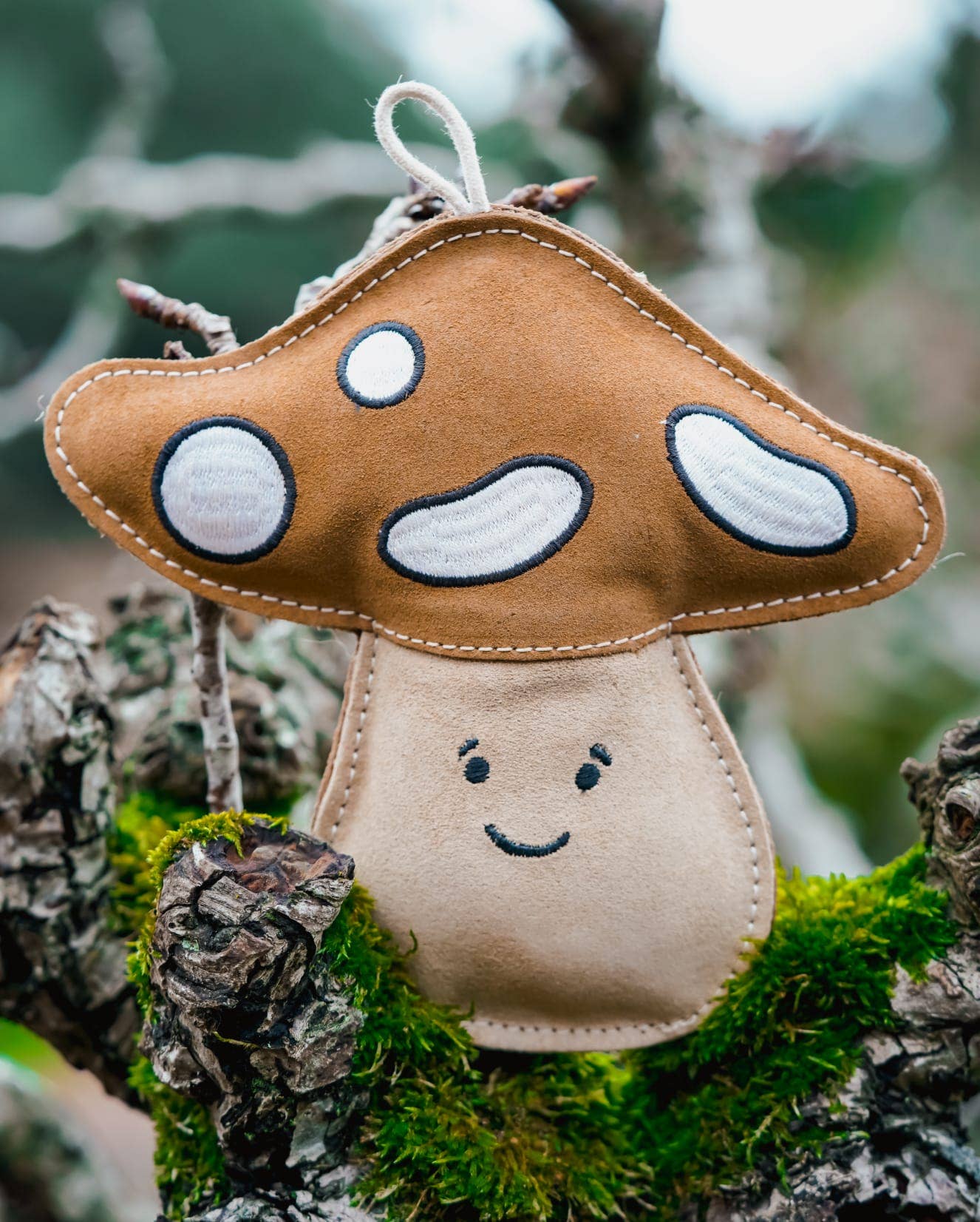 Chestnut the Mushroom
