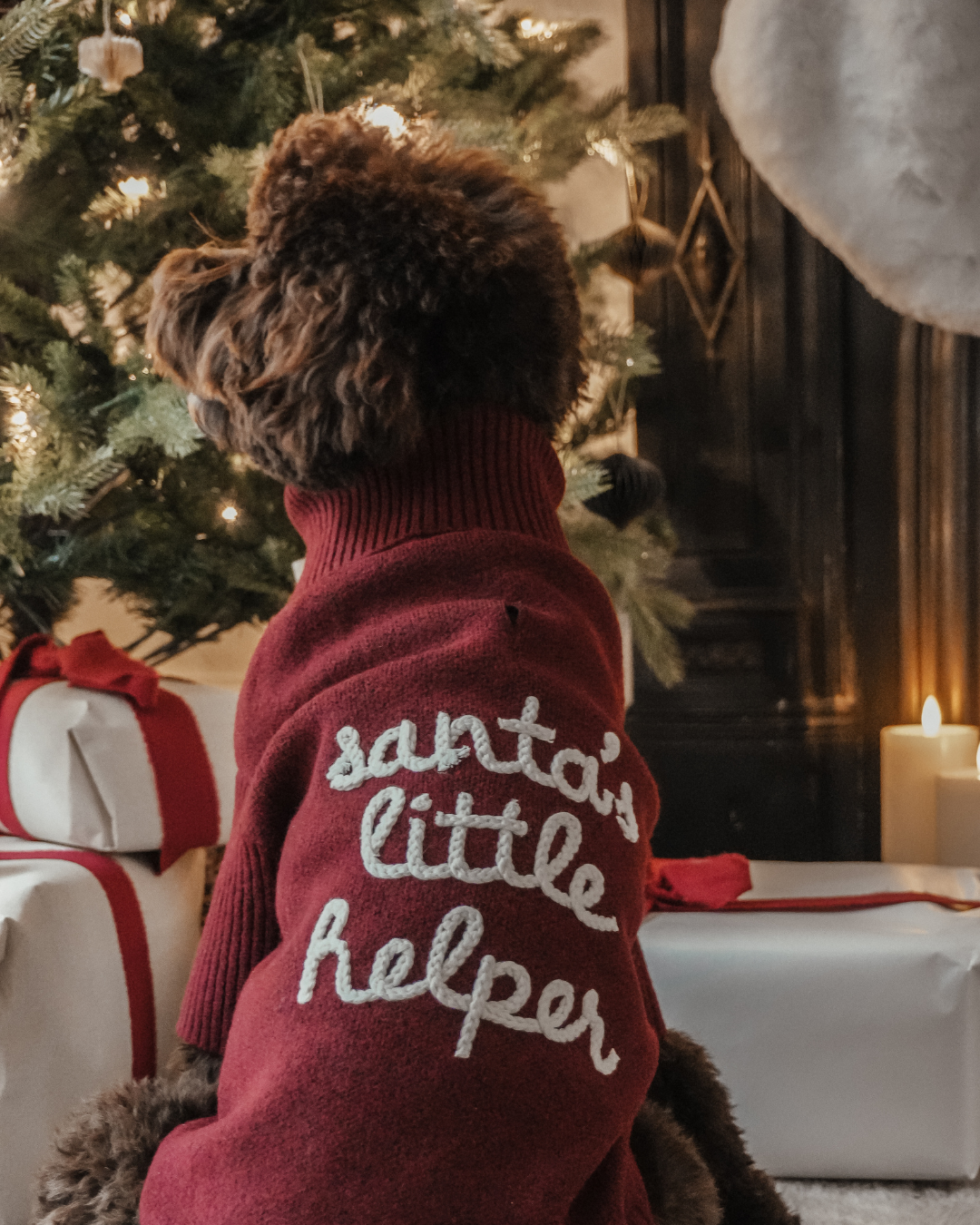 Santa's Little Helper | Roll Neck Knit Dog Jumper