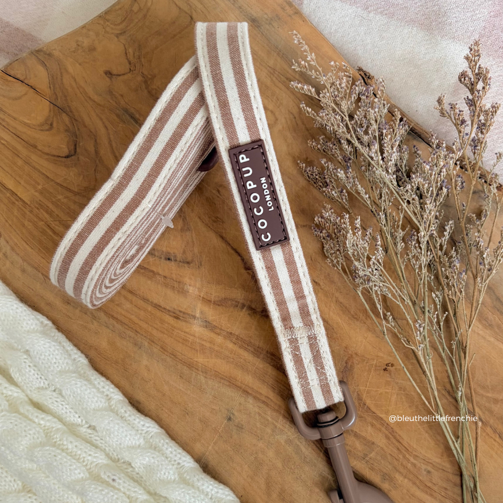 London Linen Stripes Dog Lead