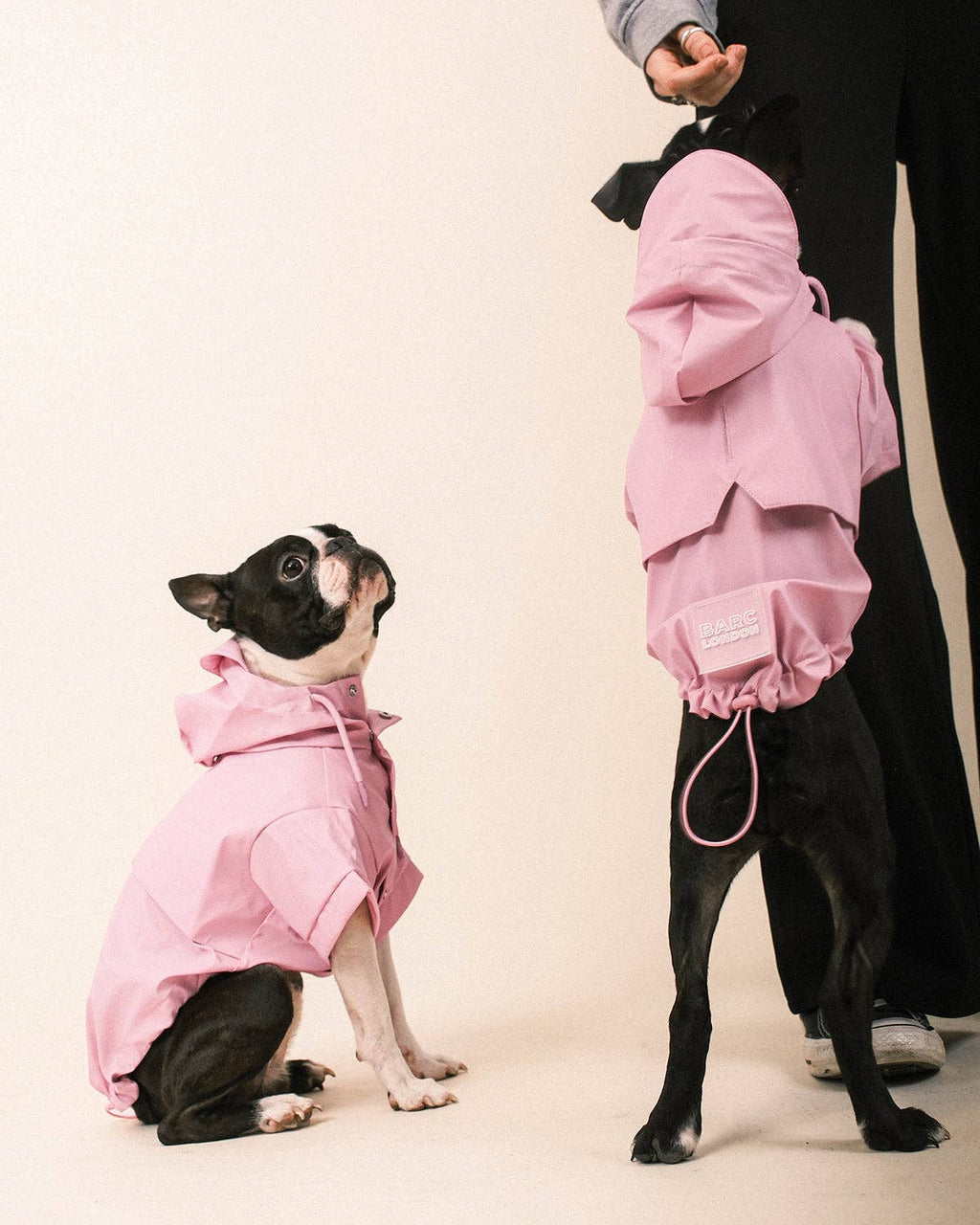 Pink Dog Raincoat