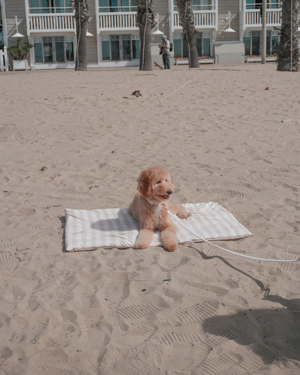 Summer Breeze Cooling Mat