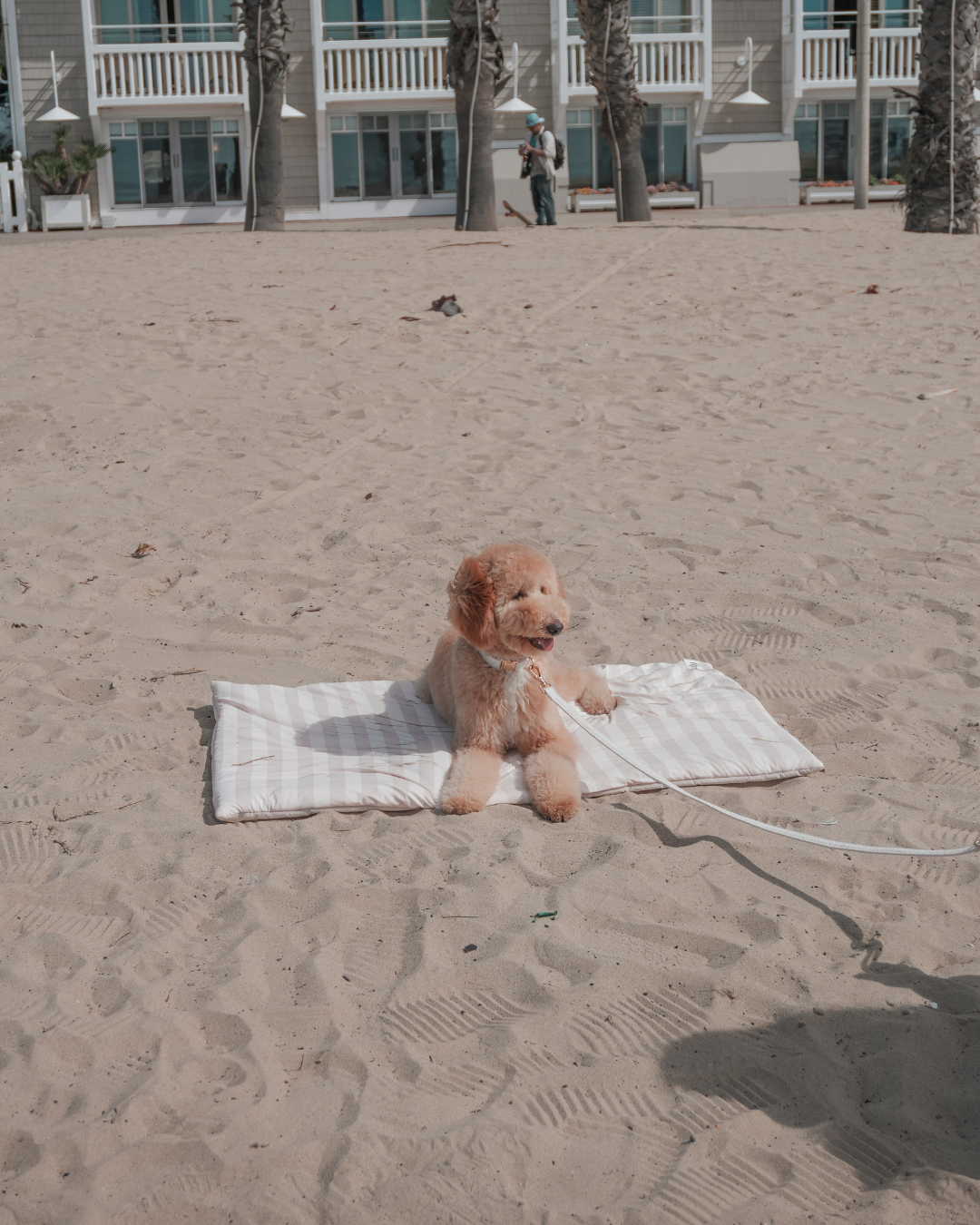 Summer Breeze Cooling Mat