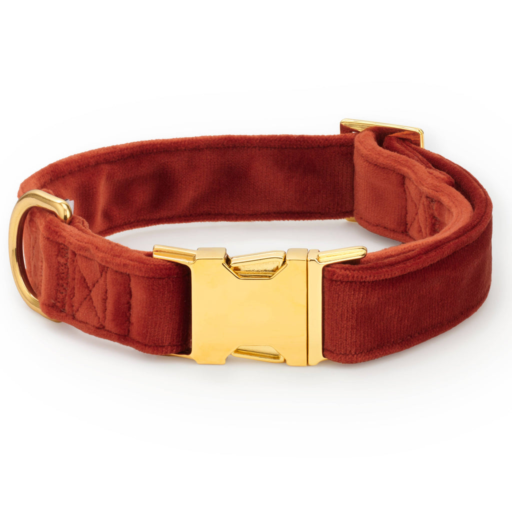 Nutmeg Velvet Dog Collar