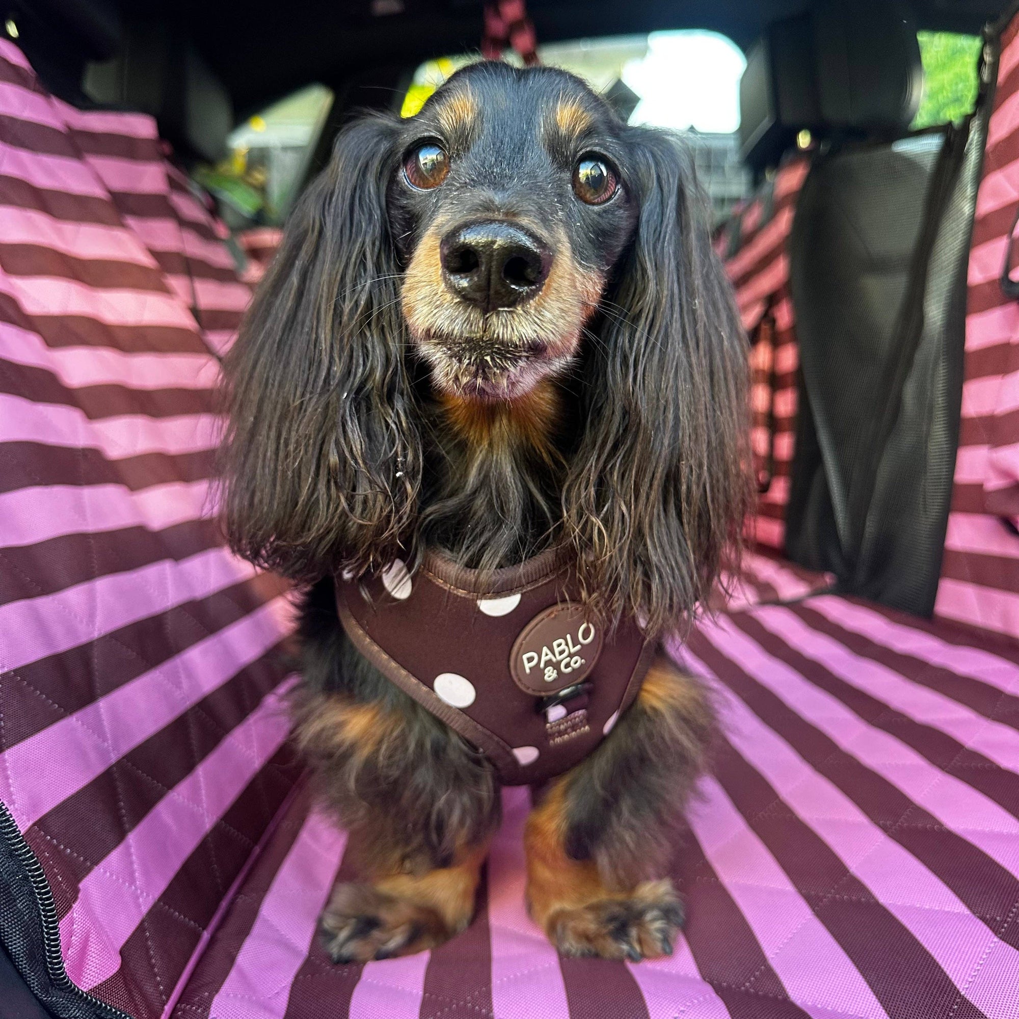 Blushing Stripes: Deluxe Hard Base Hammock Car Seat Cover