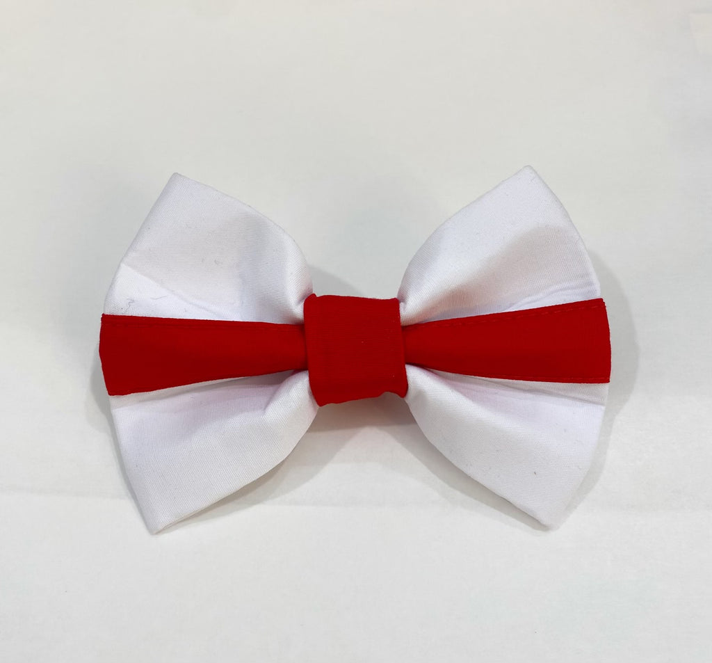 England Football dog bow tie