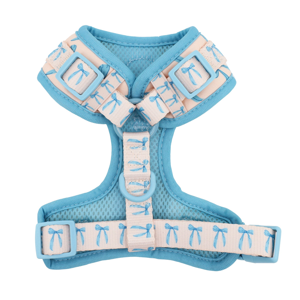 Baby blue bows harness