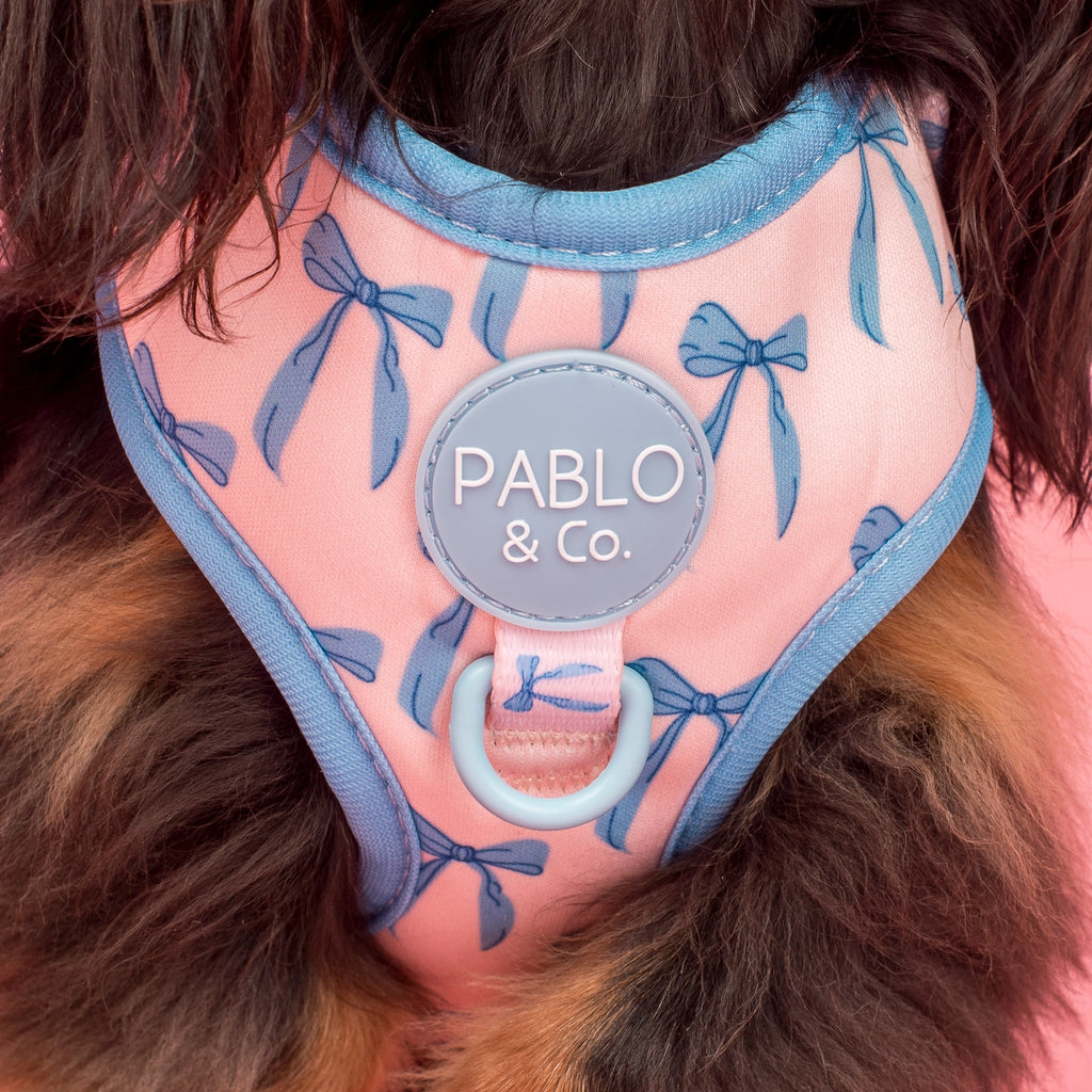 Baby blue bows harness