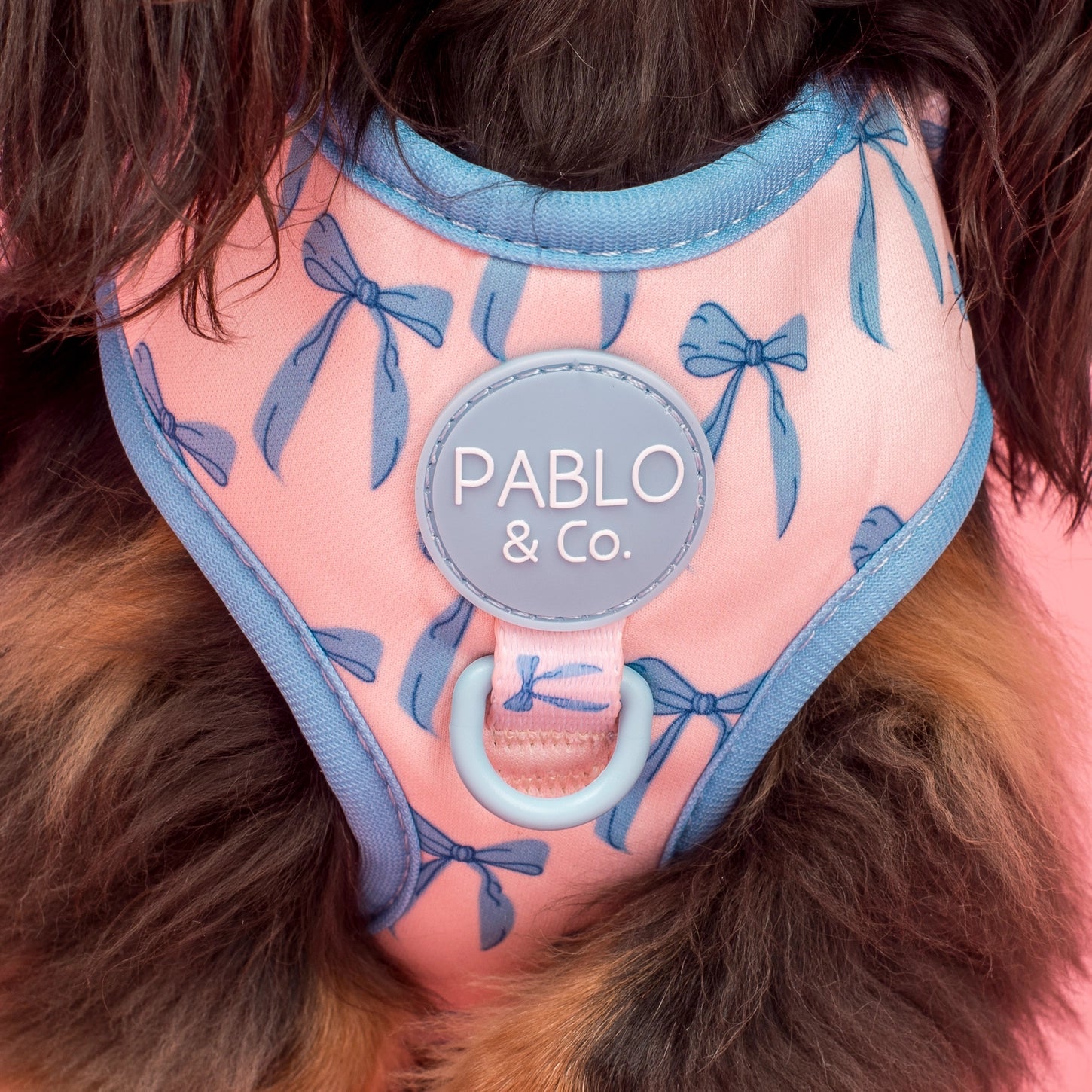 Baby blue bows harness
