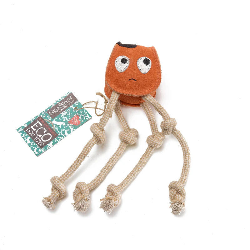 Sid the squid