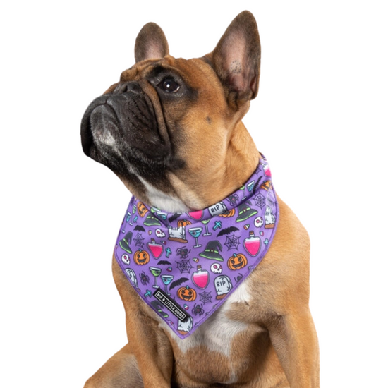 Haunted Hound - Bandana