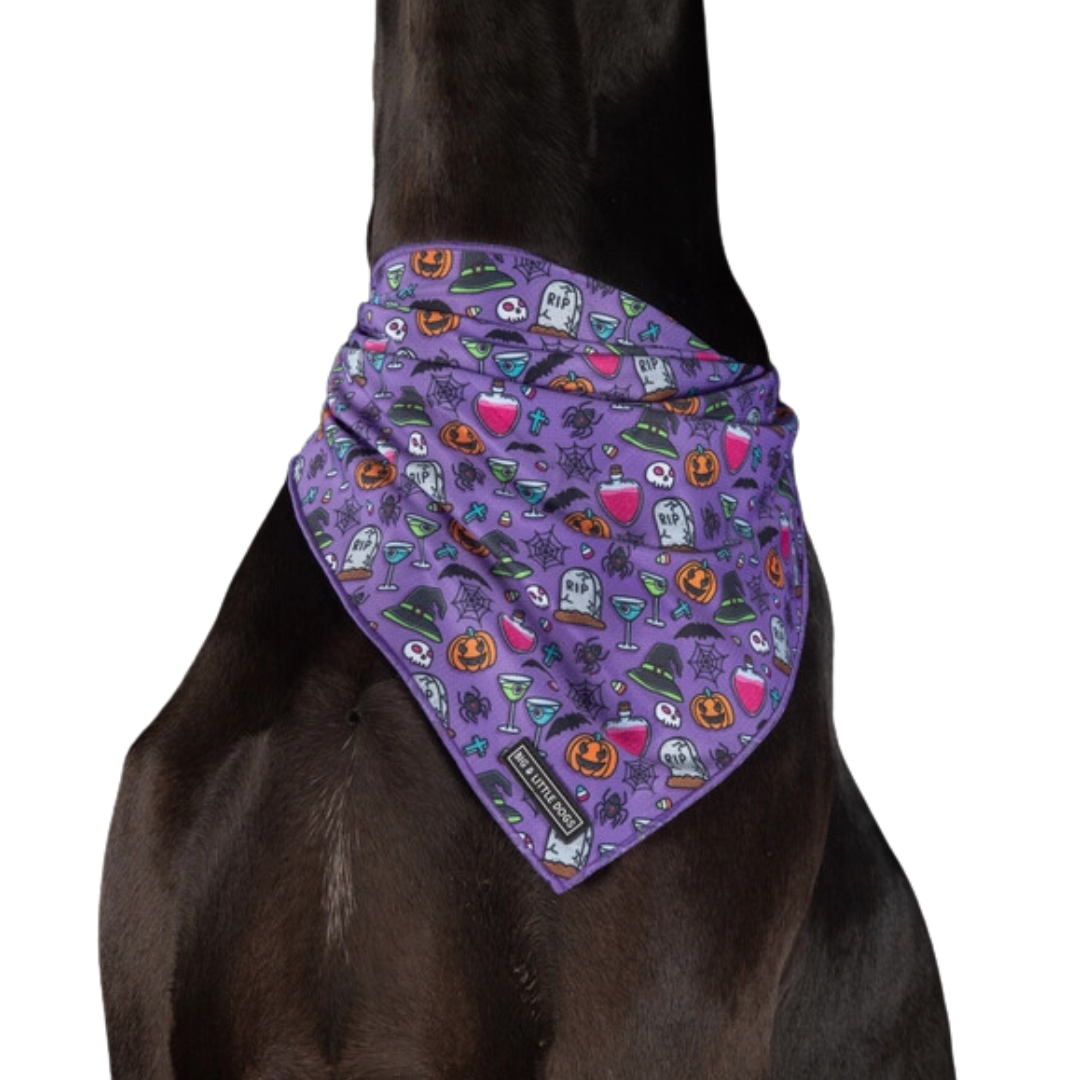 Haunted Hound - Bandana