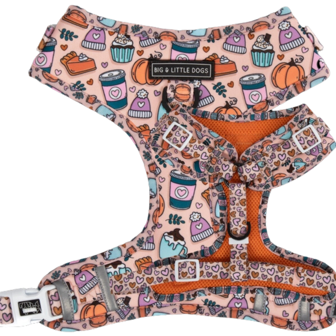 Pupkin Spice - Adjustable Harness