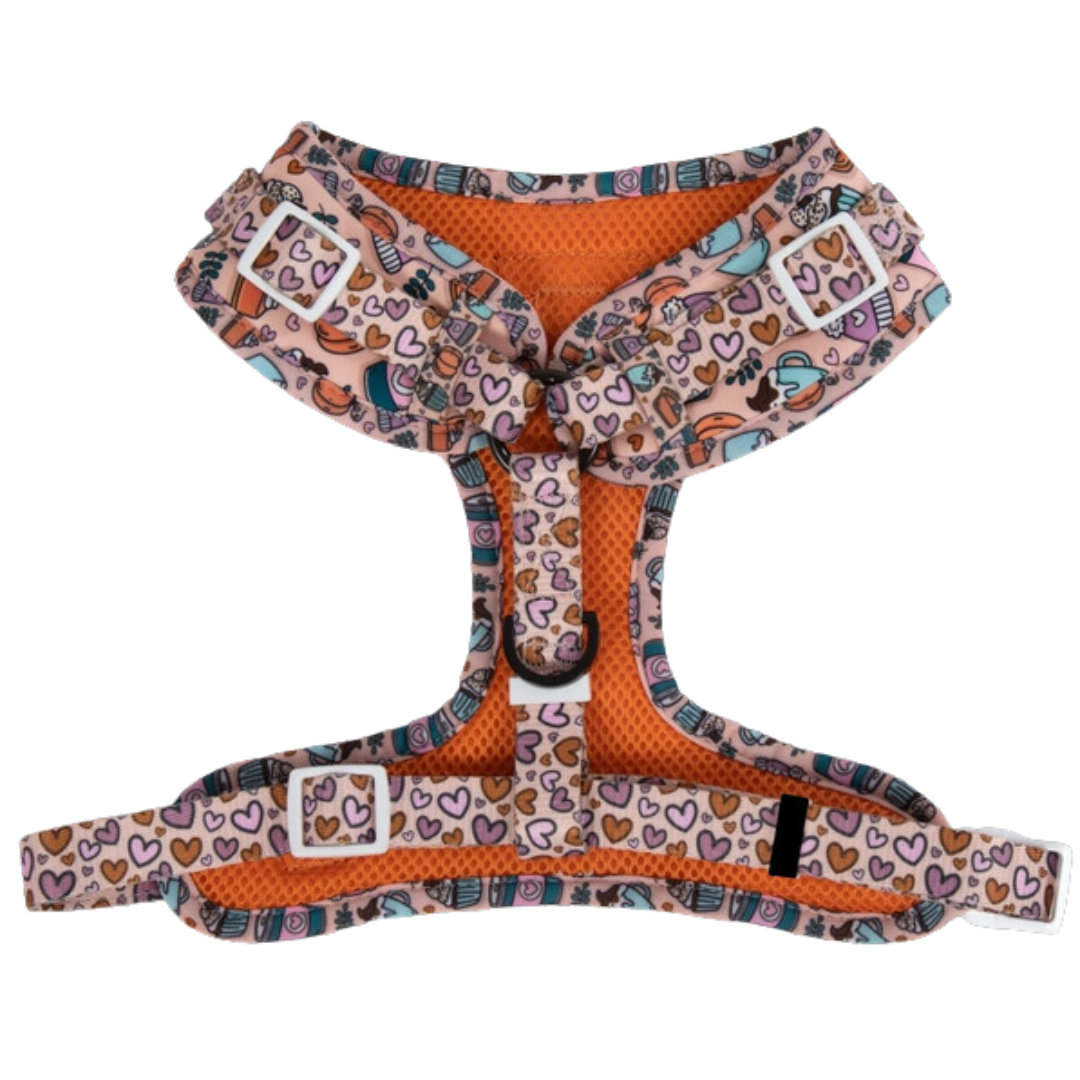 Pupkin Spice - Adjustable Harness