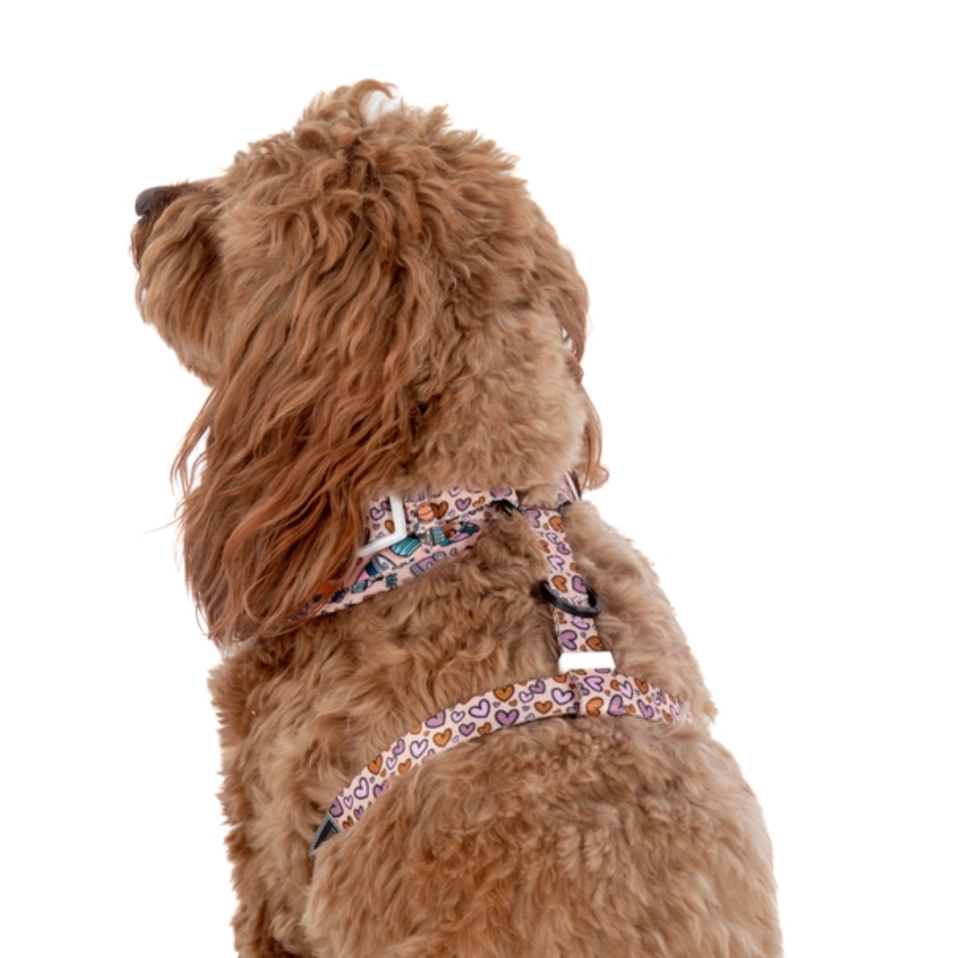 Pupkin Spice - Adjustable Harness