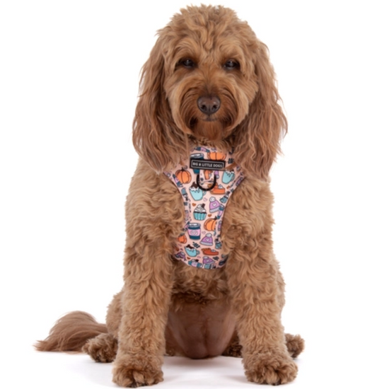 Load image into Gallery viewer, Pupkin Spice - Adjustable Harness
