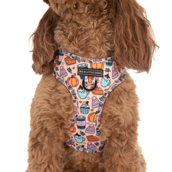 Load image into Gallery viewer, Pupkin Spice - Adjustable Harness
