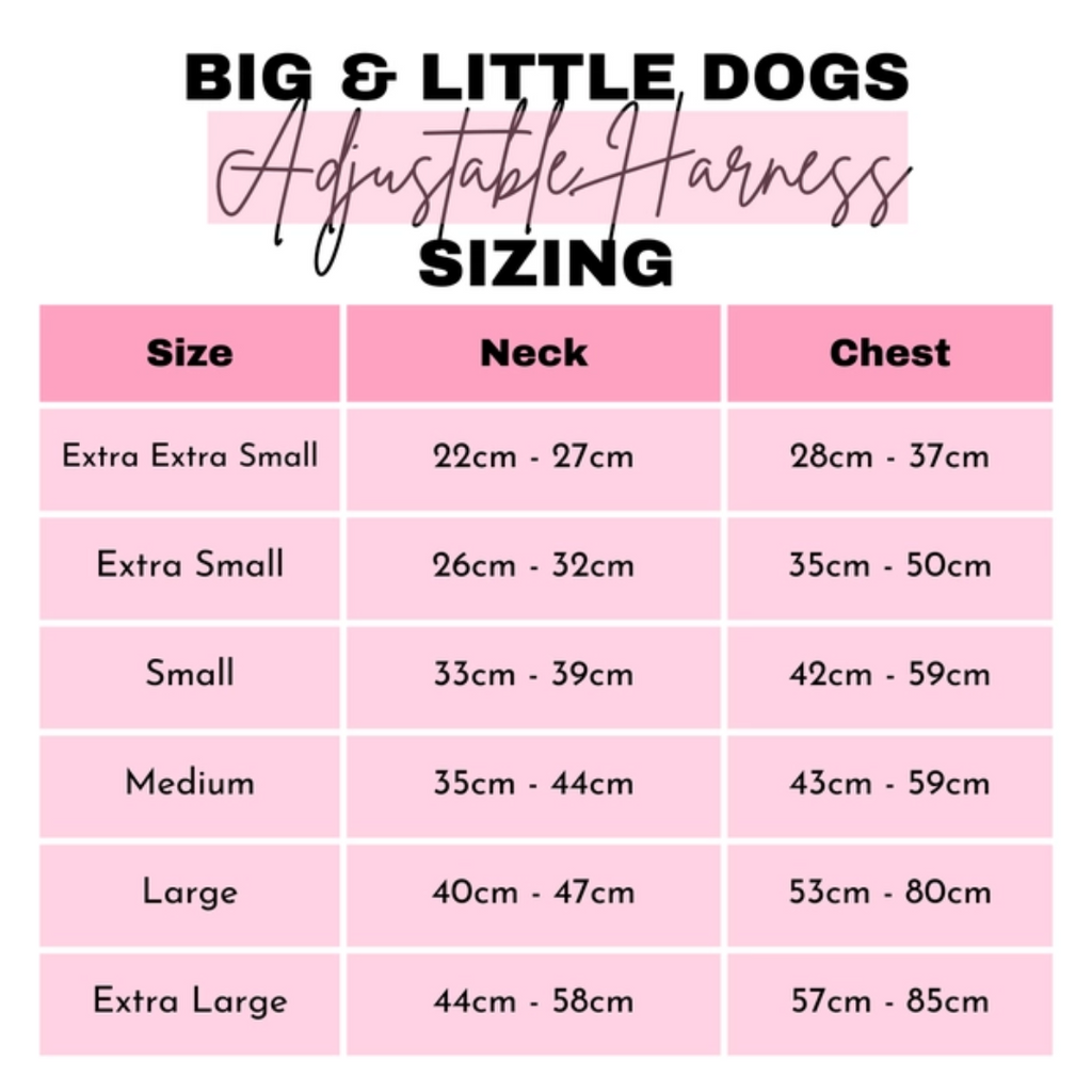 Pupkin Spice - Adjustable Harness