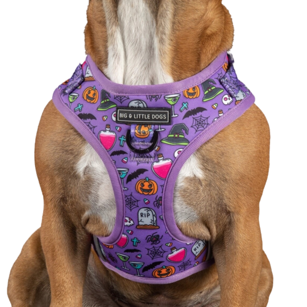 Haunted Hound - Adjustable Harness