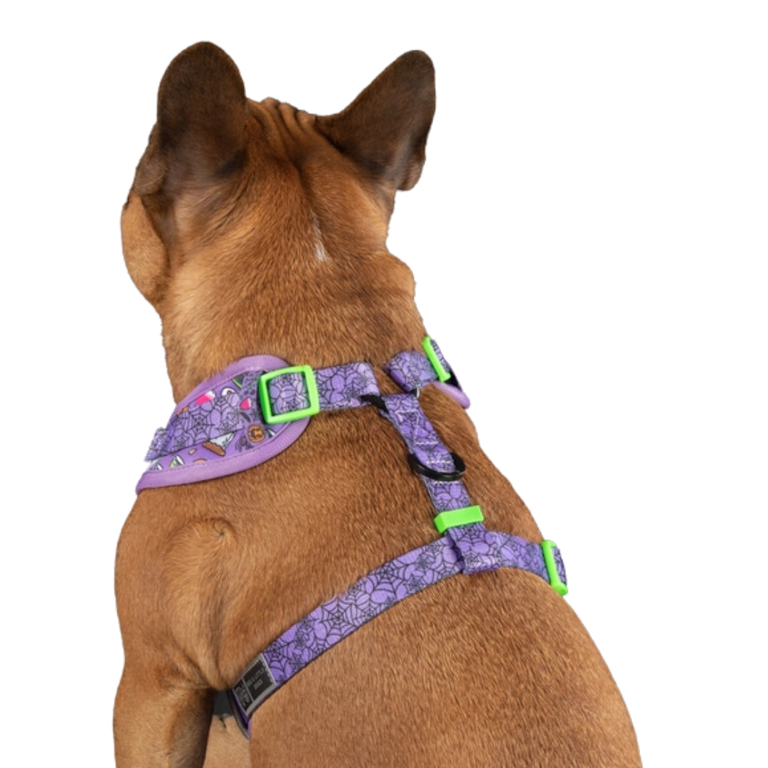 Haunted Hound - Adjustable Harness