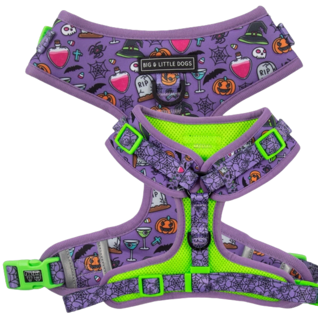 Haunted Hound - Adjustable Harness