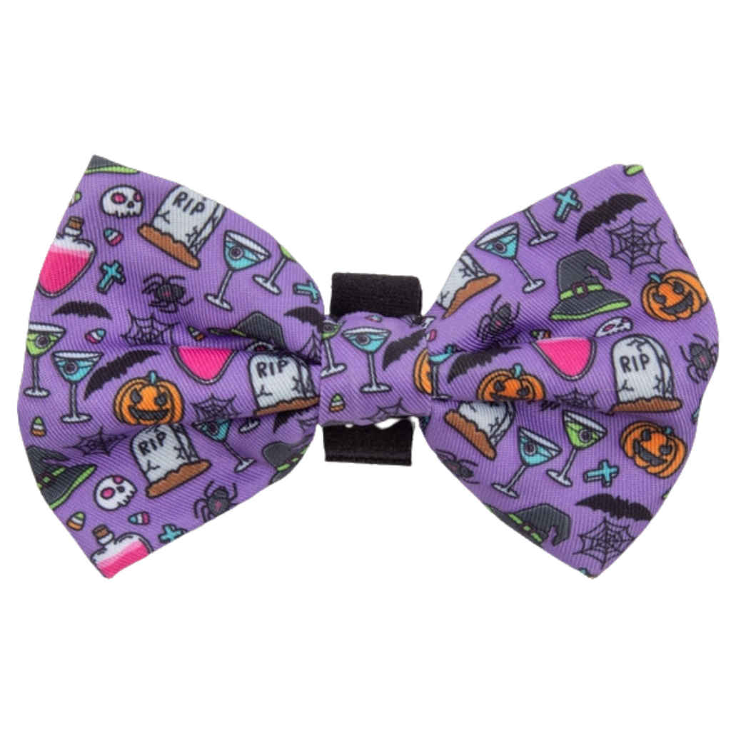 Haunted Hound - Collar & Bow