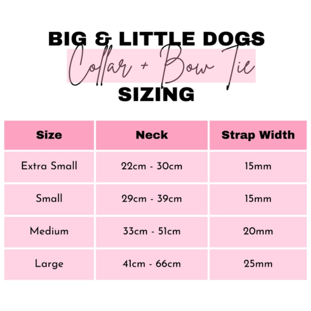 Pupkin Spice - Collar & Bow