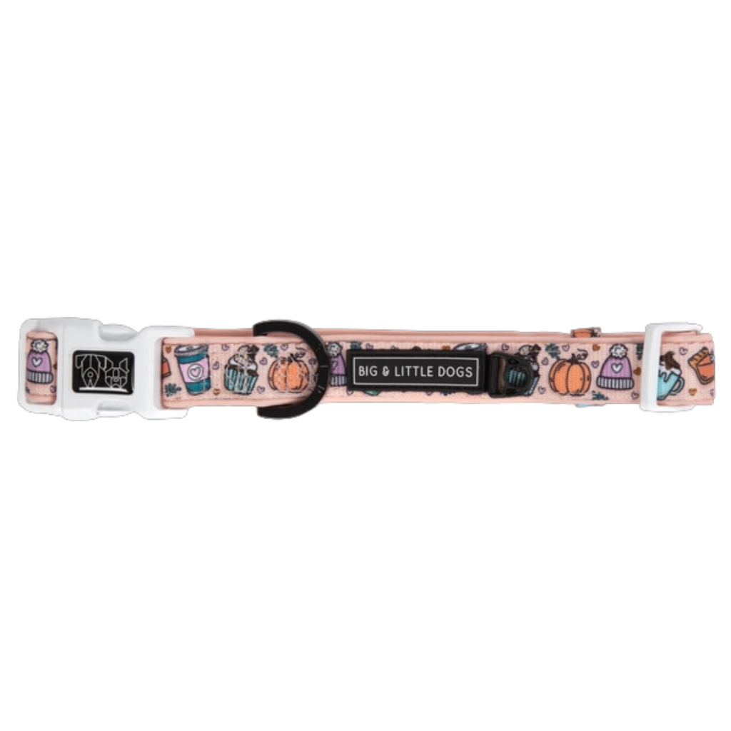 Pupkin Spice - Collar & Bow