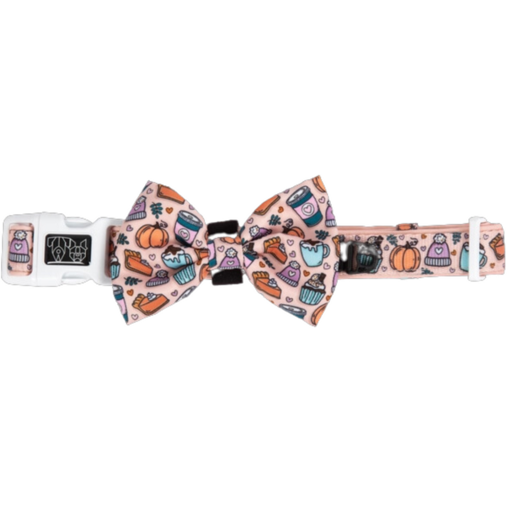 Pupkin Spice - Collar & Bow