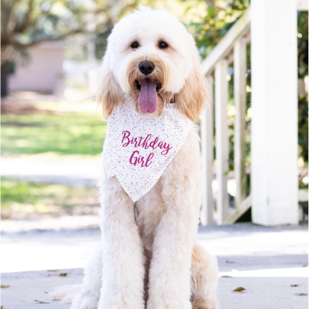 Sprinkles birthday girl dog bandana crew La La