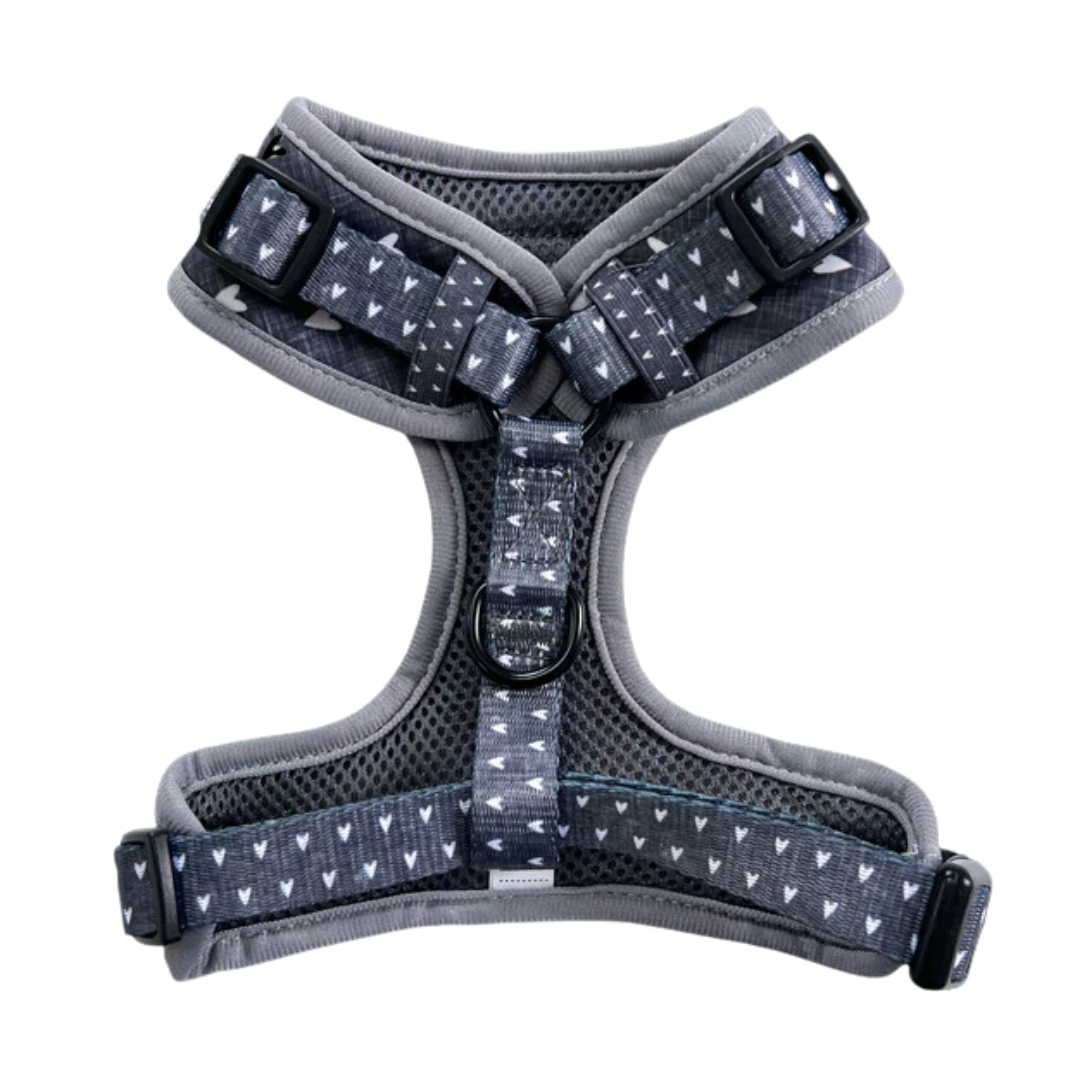 Blackjack Adjustable Harnesses