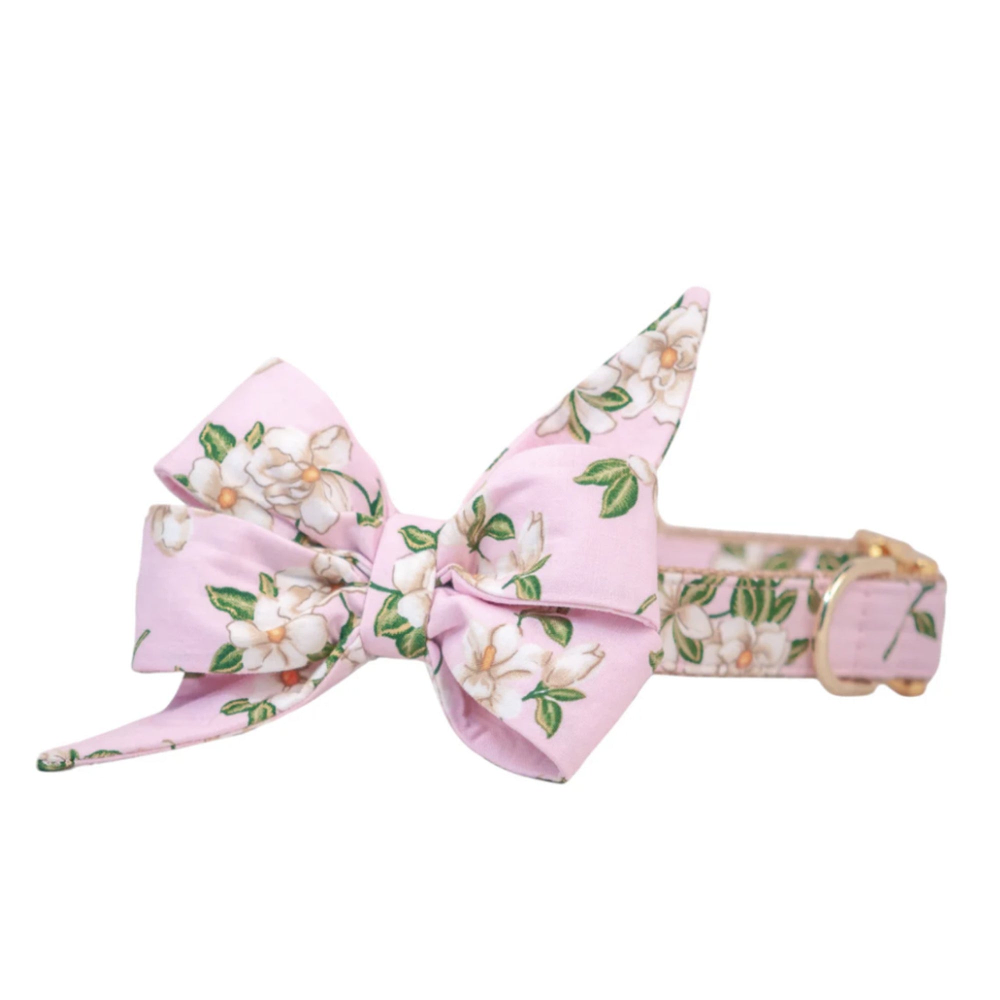 Blush Magnolias Belle Bow dog collar