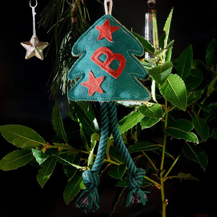 Bruce the Spruce
