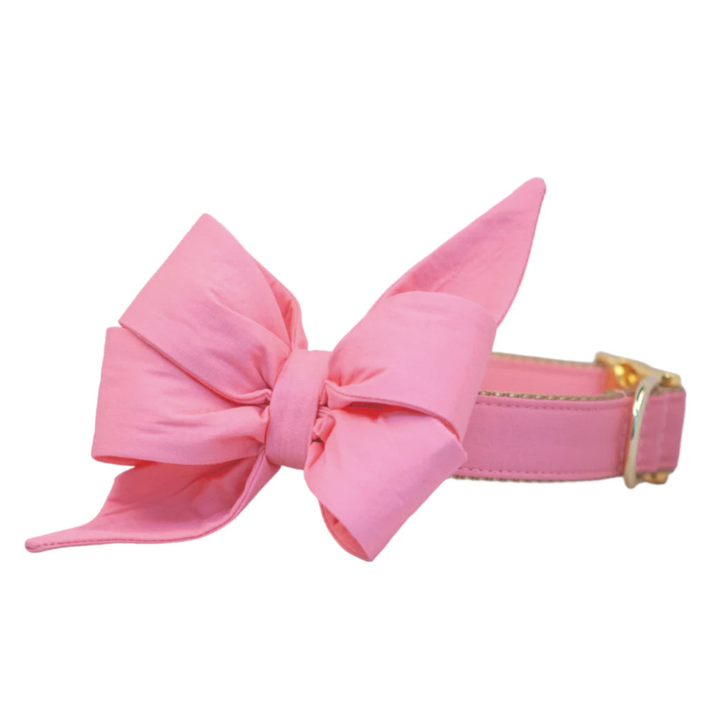 Bubblegum pink Belle bow dog collar
