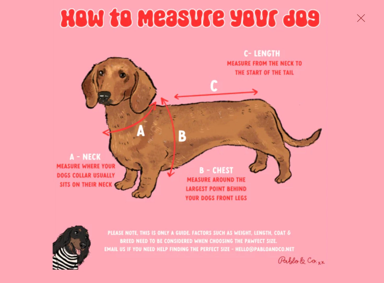 Baby blue bows harness