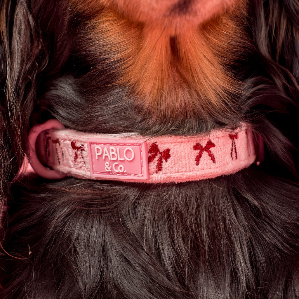 Velvet Blush Bows: Dog Collar
