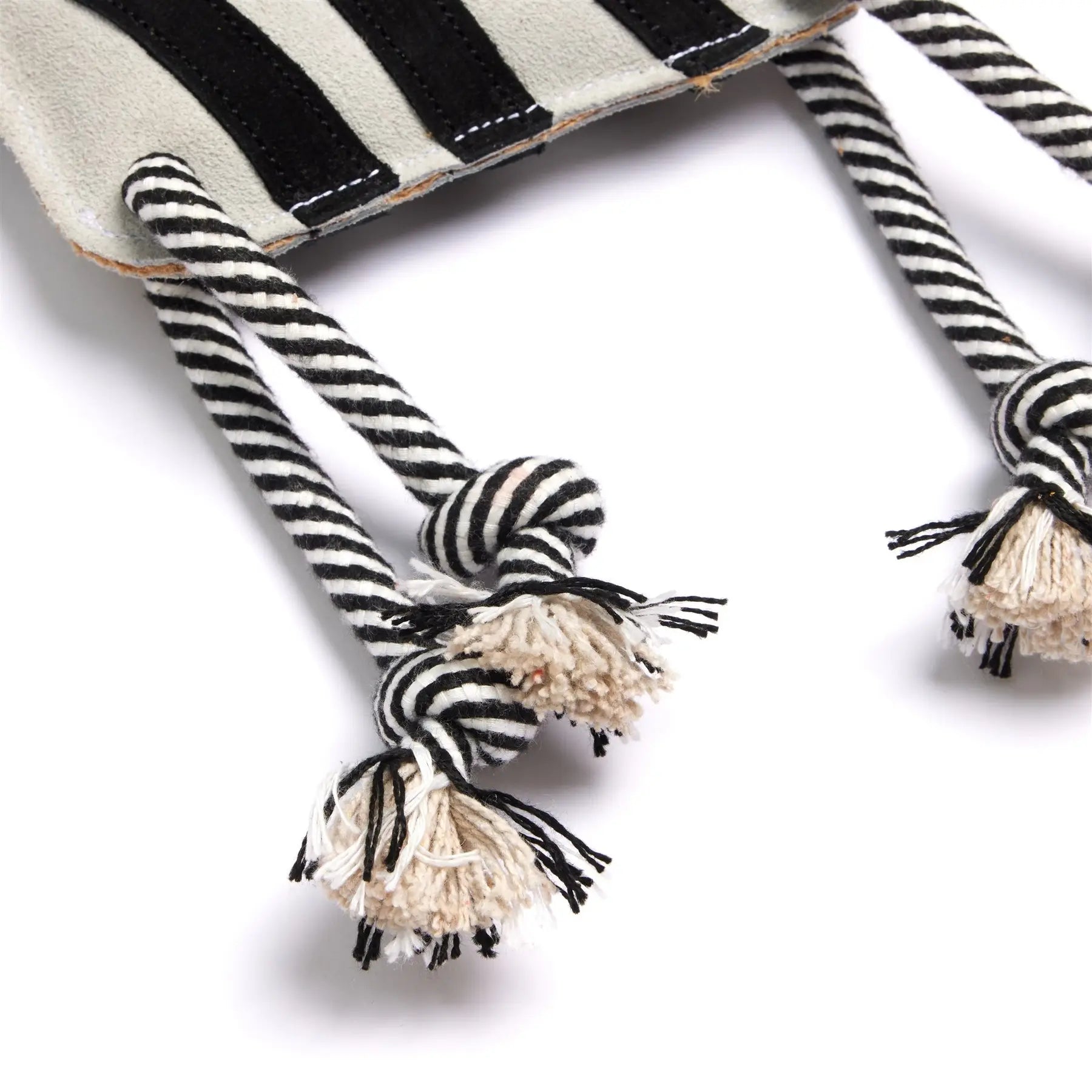 Zambezi the zebra dog toy