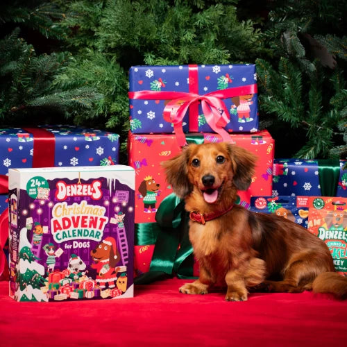 Denzel advent calendar